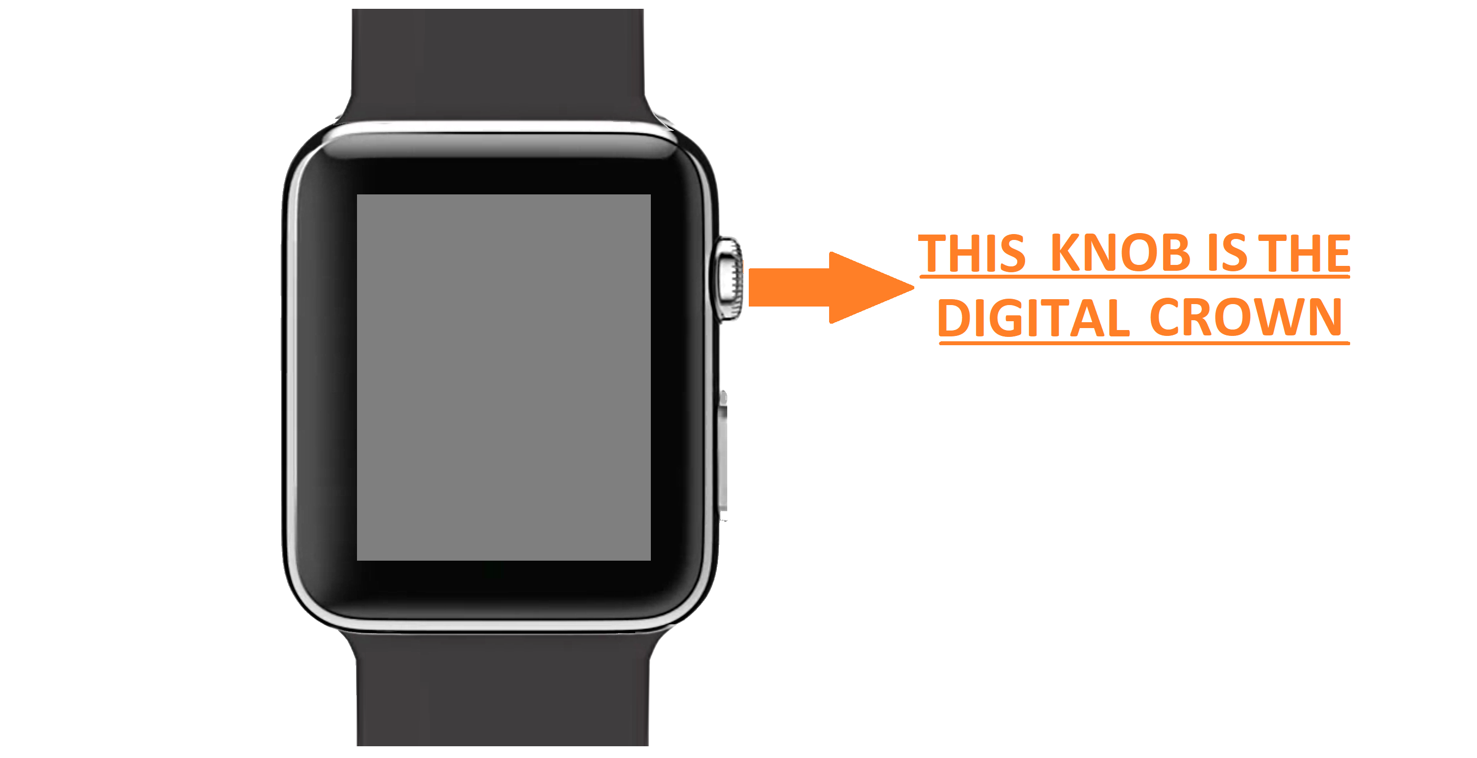 what is digital crown on app watch