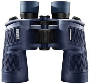 budget binoculars for whale watching