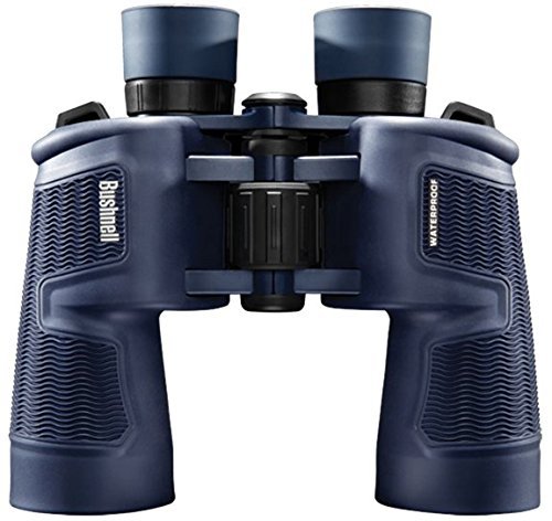 best binoculars for whale watching - Tell Me Best