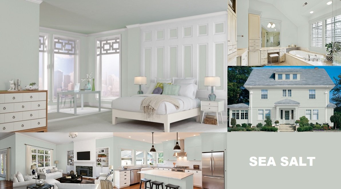 sherwin williams sea salt review in detail