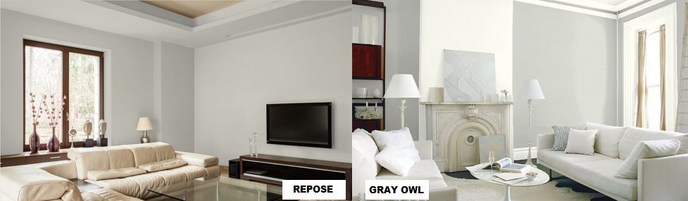 sw repose vs gray owl