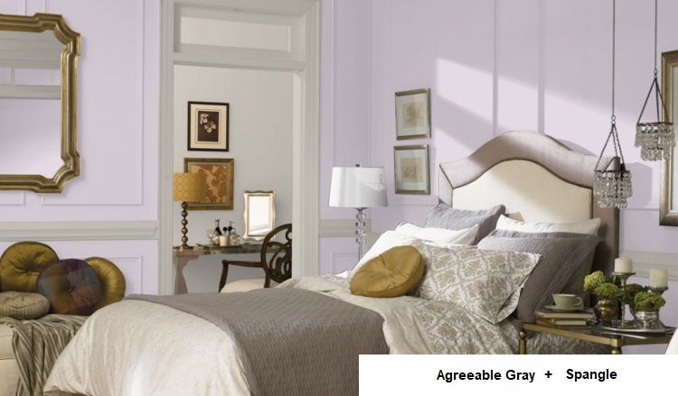 AGREEABLE GRAY AND spangle and agreeable gray in background room