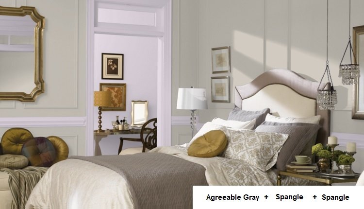 AGREEABLE GRAY AND spangle and spangle in background room