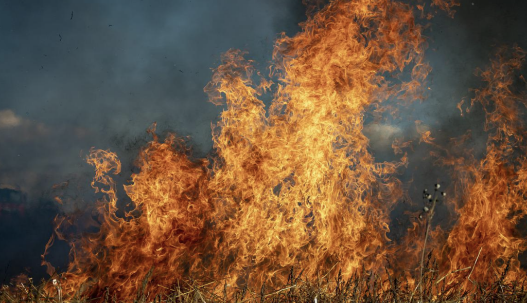 wildfires new jersey tesla