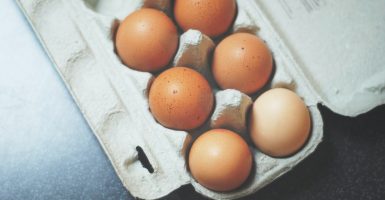 egg prices cal-maine foods