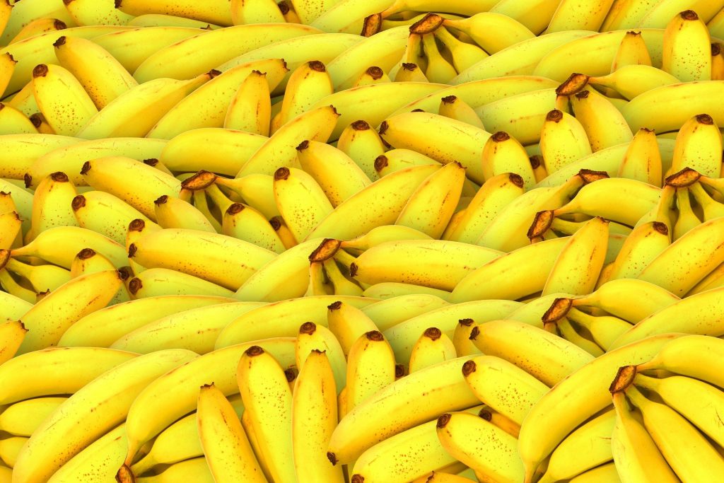 bananas grown