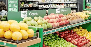 supermarkets suppliers grocery store fruit