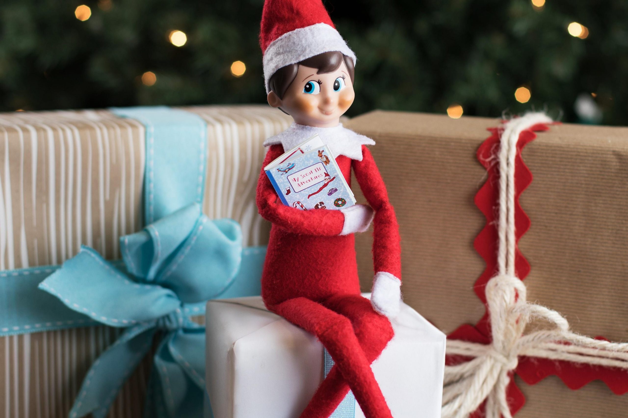 Elf on the shelf