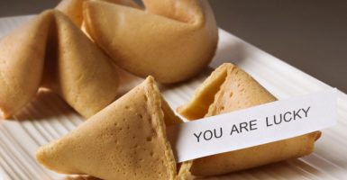 fortune cookie