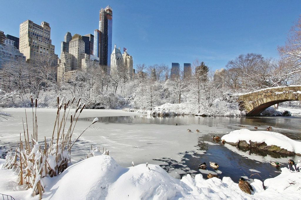 snowy city