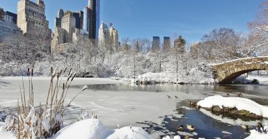 snowy city