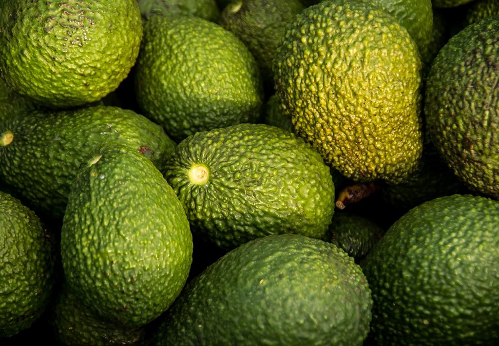 avocados imports