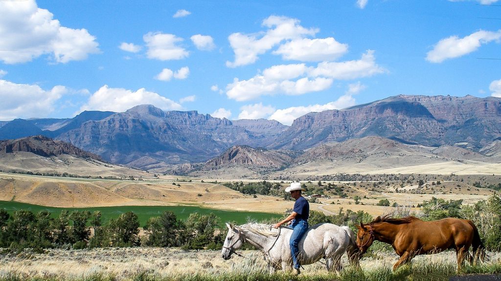 bozeman