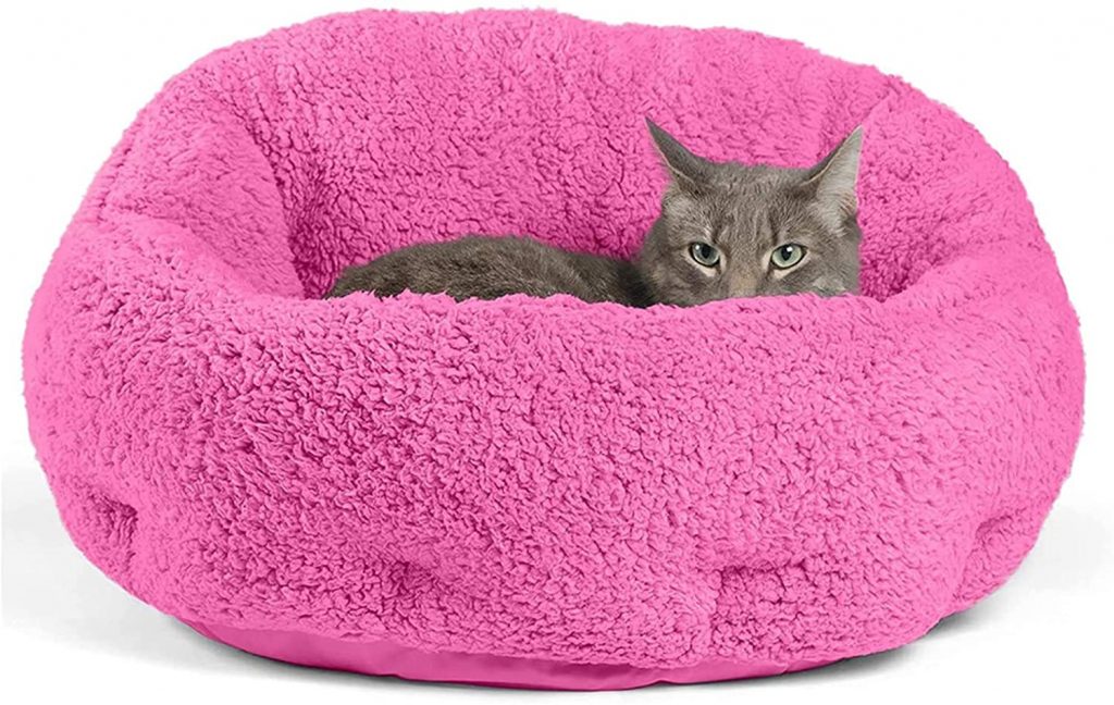 best cat bed