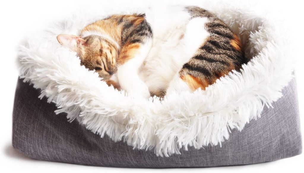 best cat bed