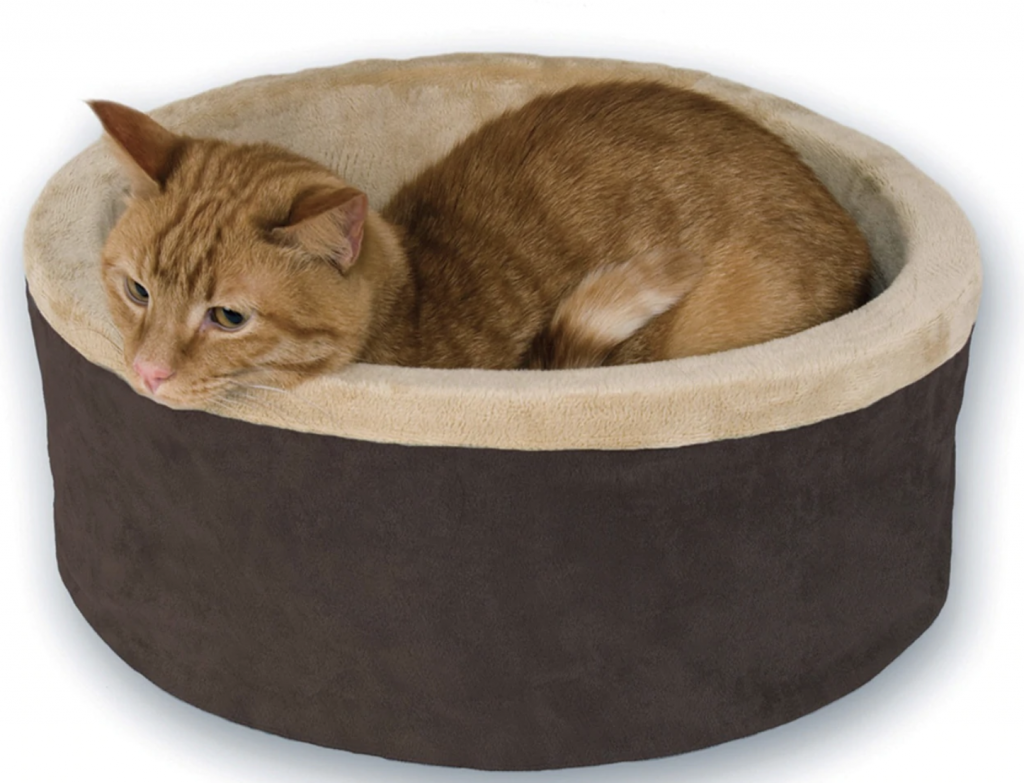 best cat bed