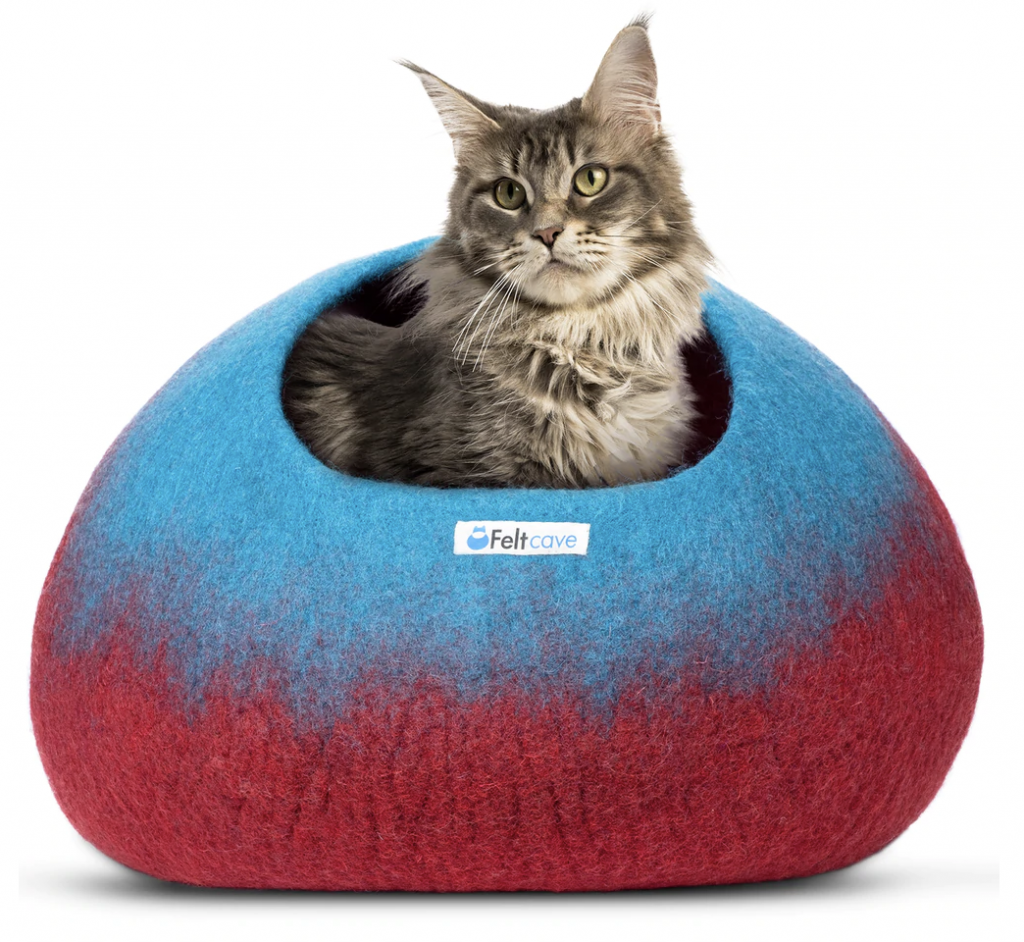 best cat bed