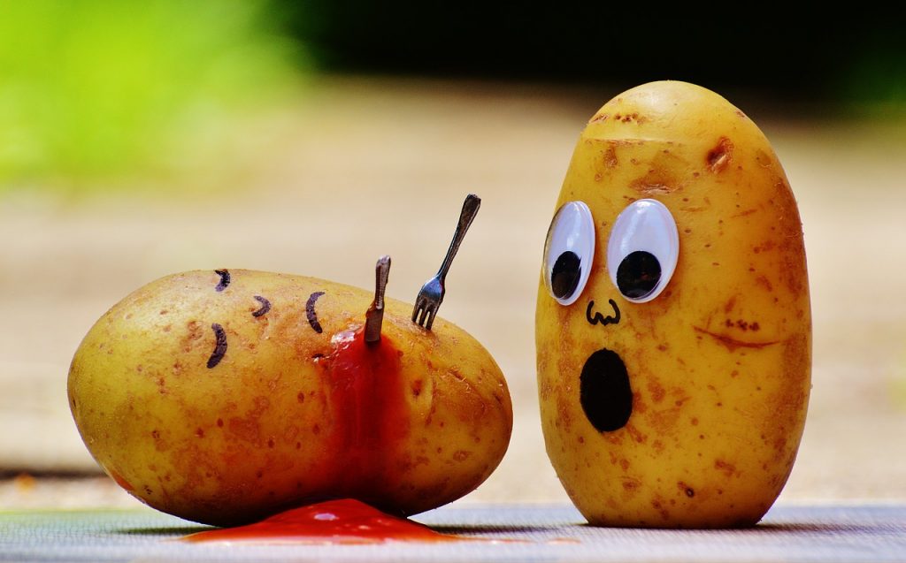 world's largest potato