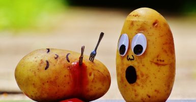 world's largest potato