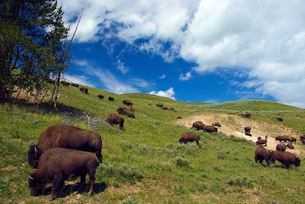 popular national parks