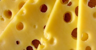 stolen cheese