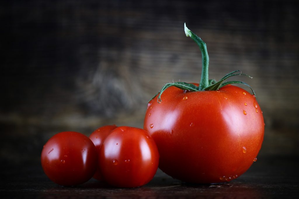 world's largest tomato