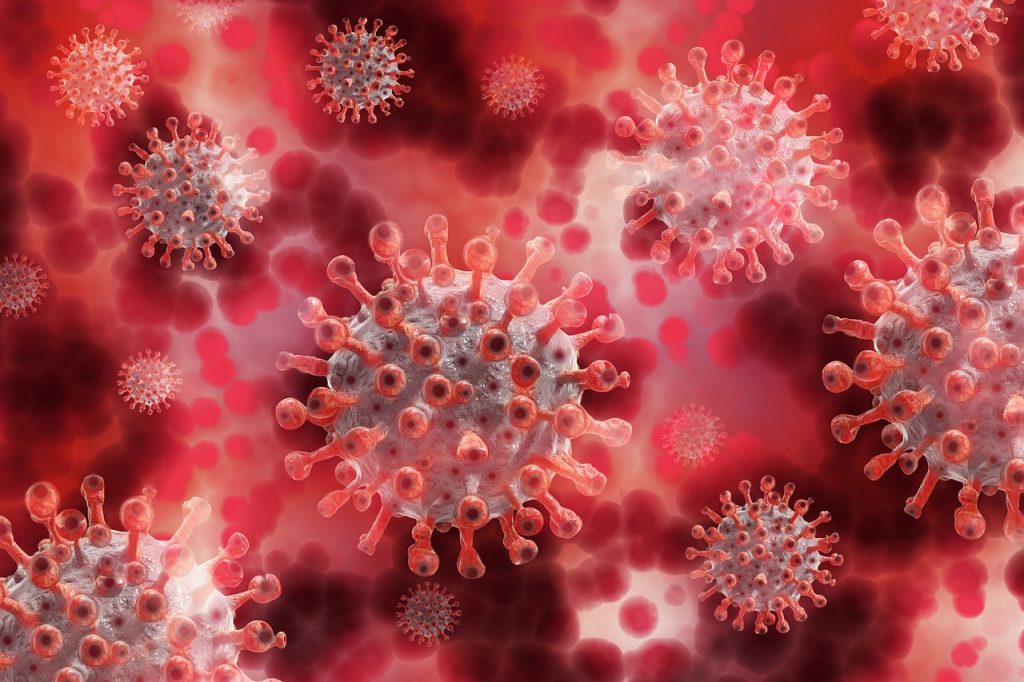 zombie virus e.coli monkeypox