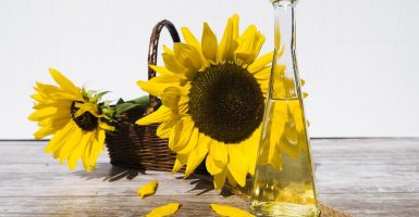 sunflower oil