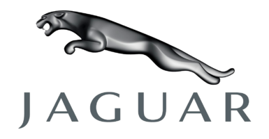 who owns jaguar