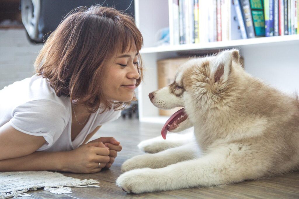 dog study pets