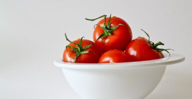tomato shortage
