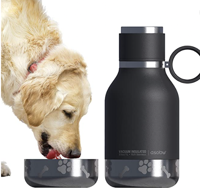 dog water bottle