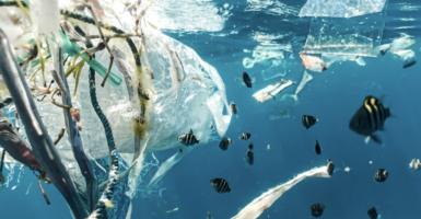 ocean garbage plastics climate change