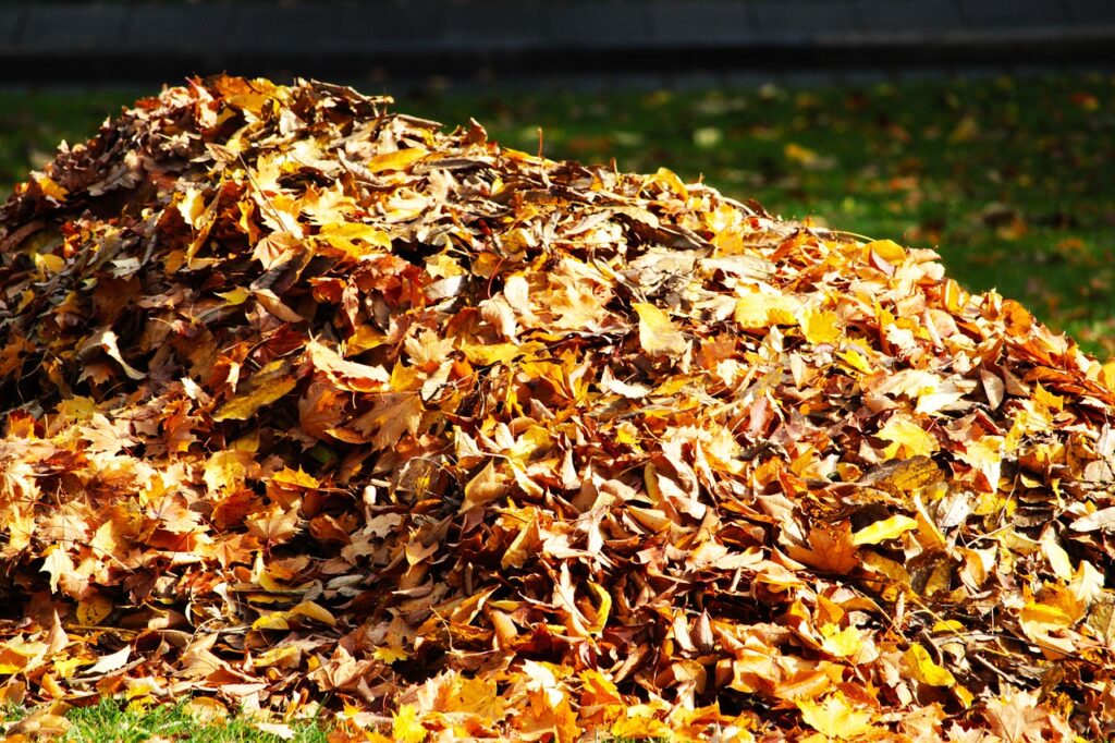 raking leaves