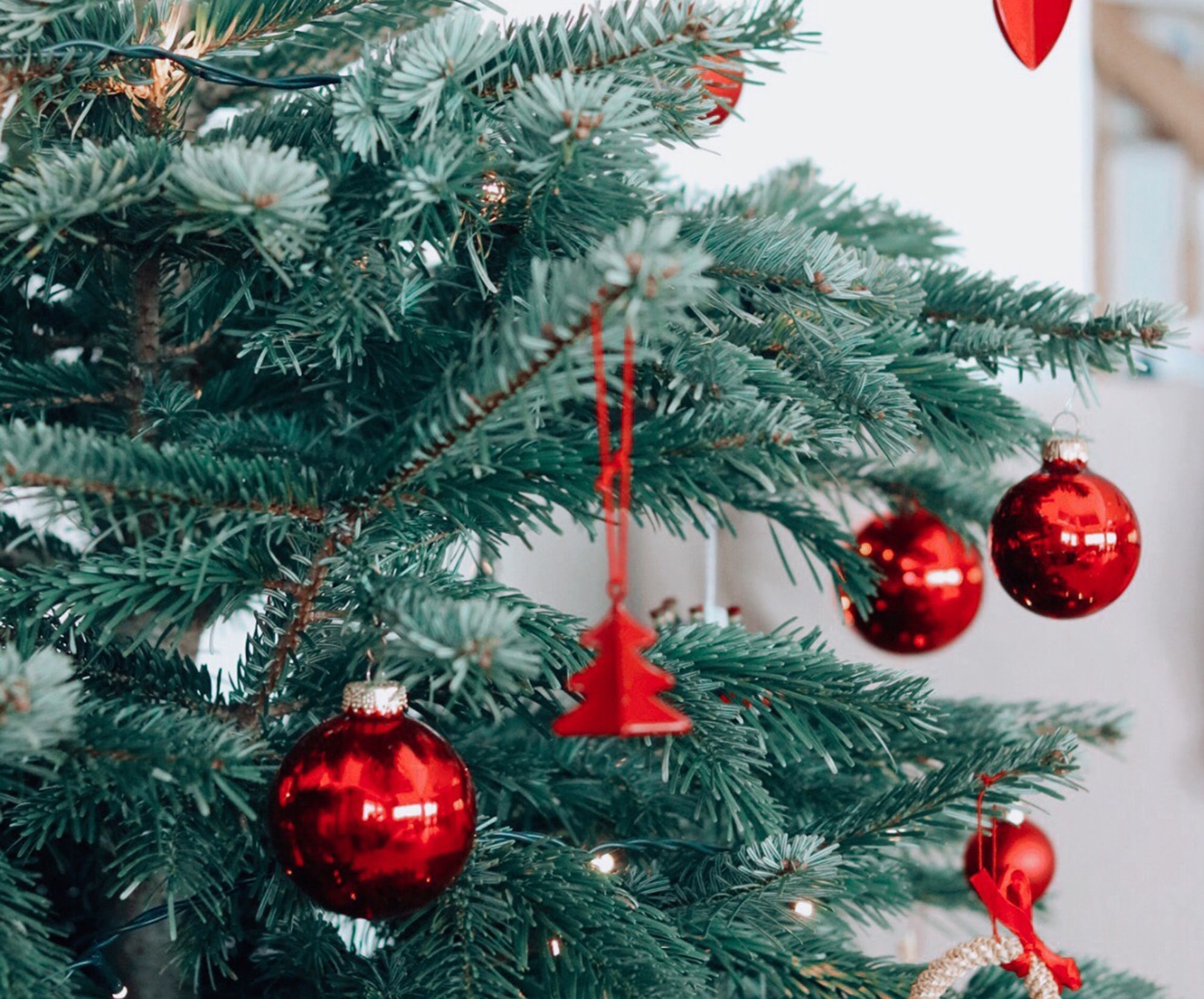 Christmas Trees Are Getting Way More Expensive This Year