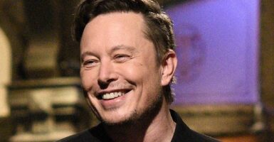 elon musk twitter banned twitter users