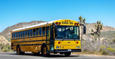 school bus drivers