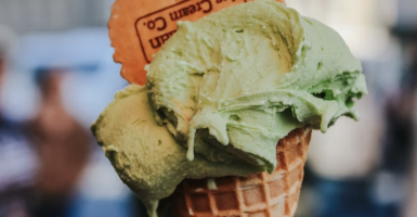 cricket-flavored ice cream