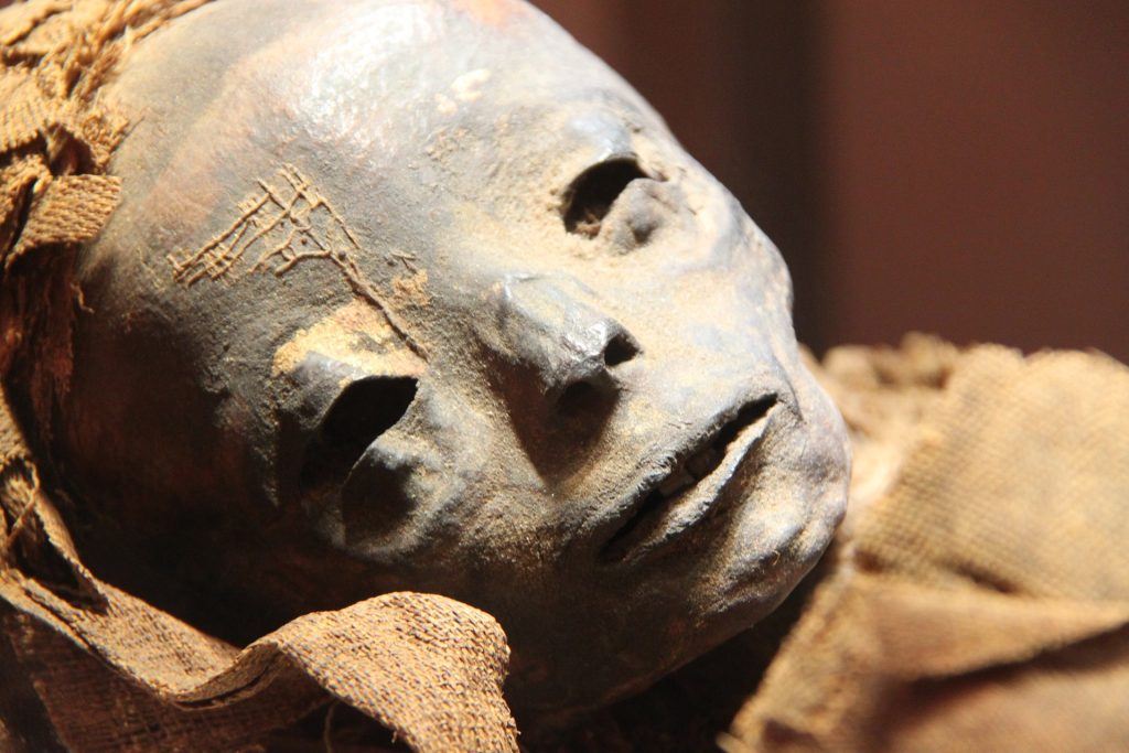 Mummies museum