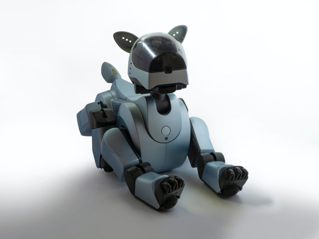 robot dog